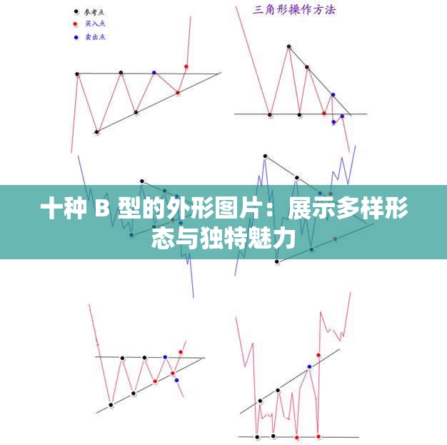 十種 B 型的外形圖片：展示多樣形態(tài)與獨(dú)特魅力