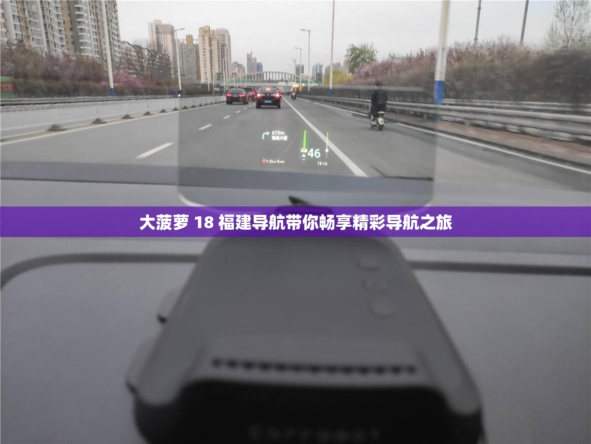 大菠蘿 18 福建導(dǎo)航帶你暢享精彩導(dǎo)航之旅