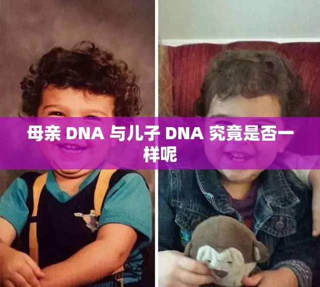 母親 DNA 與兒子 DNA 究竟是否一樣呢