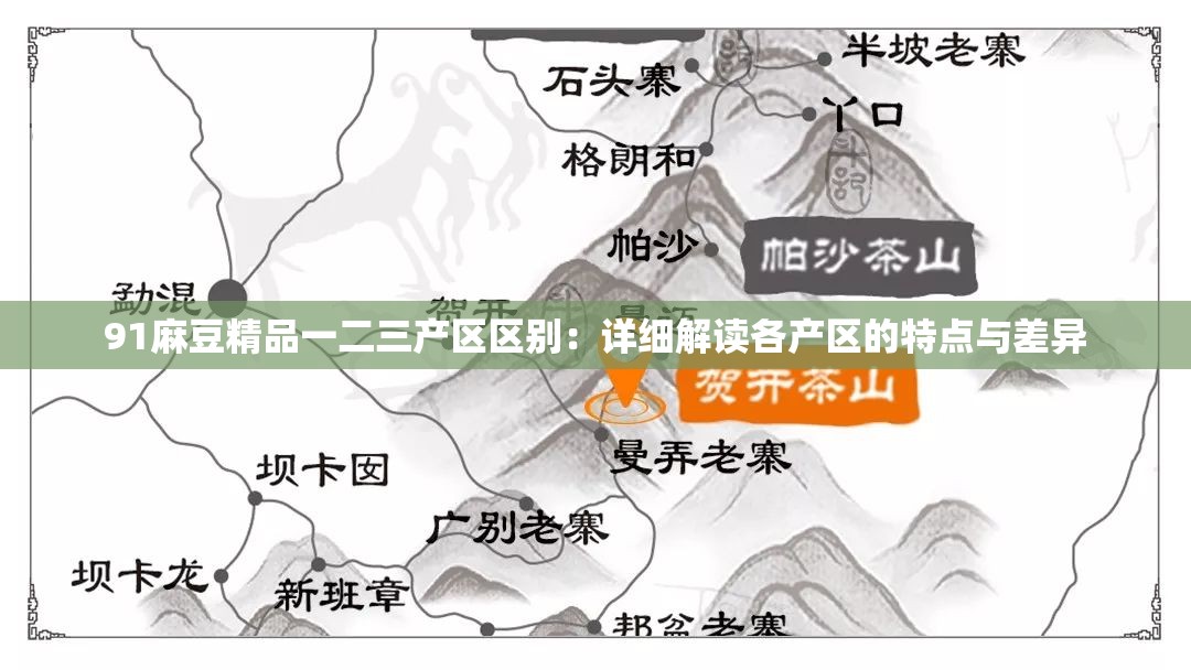 91麻豆精品一二三產(chǎn)區(qū)區(qū)別：詳細(xì)解讀各產(chǎn)區(qū)的特點與差異