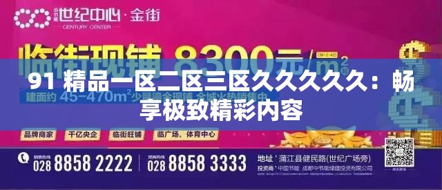 91 精品一區(qū)二區(qū)三區(qū)久久久久久：暢享極致精彩內(nèi)容