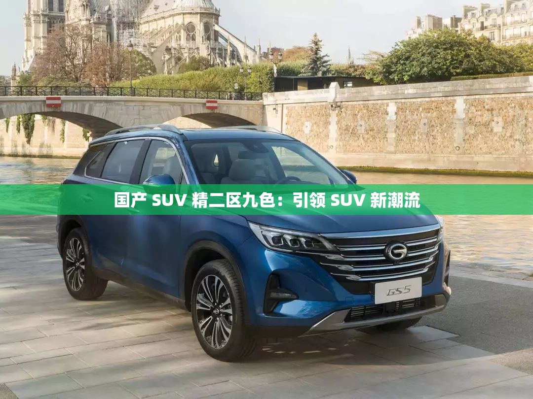 國(guó)產(chǎn) SUV 精二區(qū)九色：引領(lǐng) SUV 新潮流