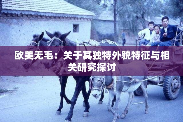 歐美無(wú)毛：關(guān)于其獨(dú)特外貌特征與相關(guān)研究探討