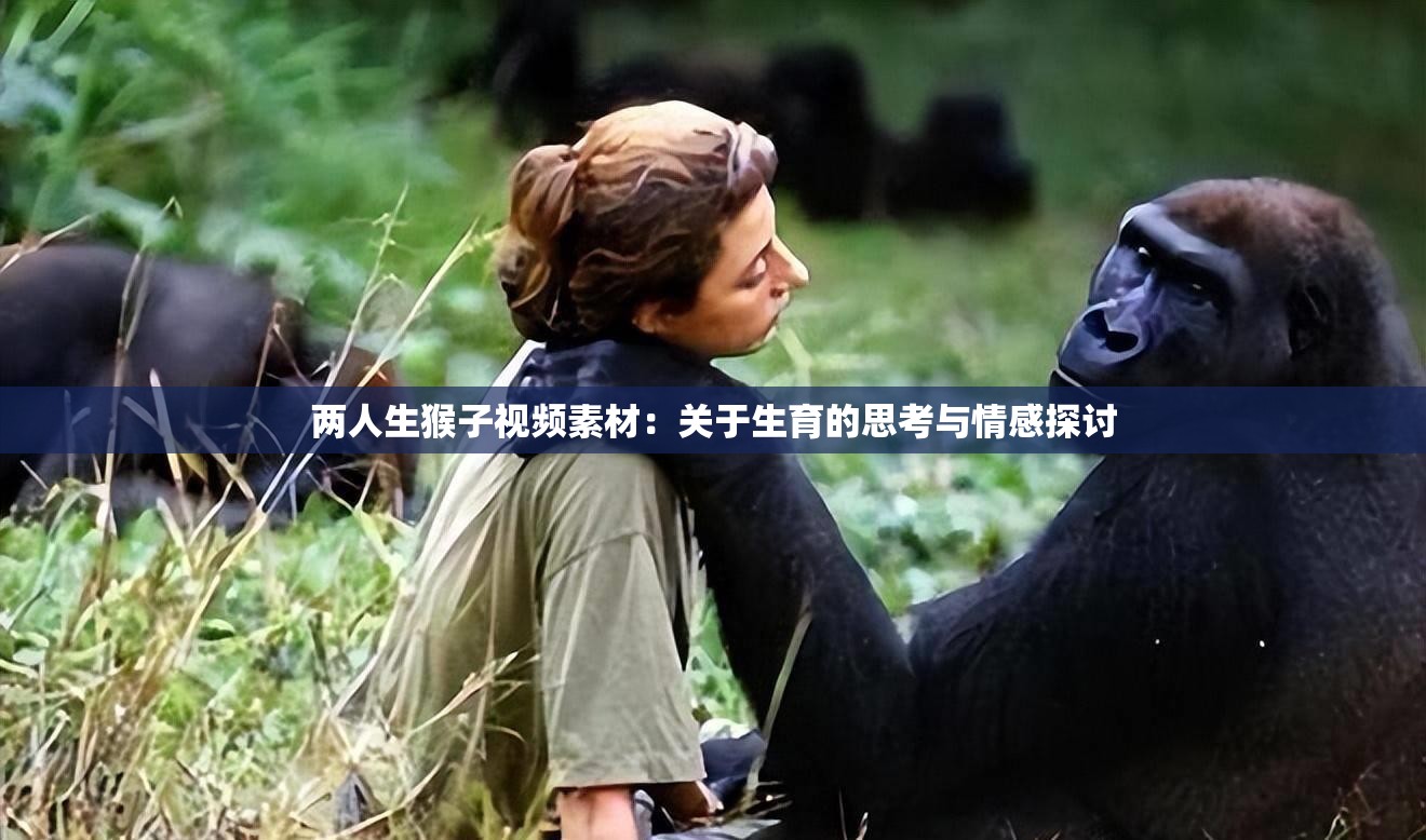 兩人生猴子視頻素材：關(guān)于生育的思考與情感探討