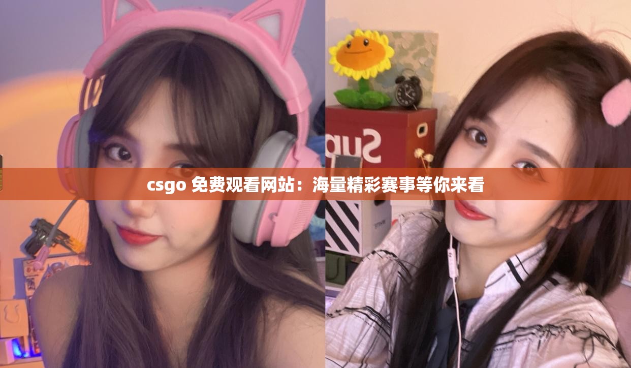 csgo 免費(fèi)觀看網(wǎng)站：海量精彩賽事等你來看