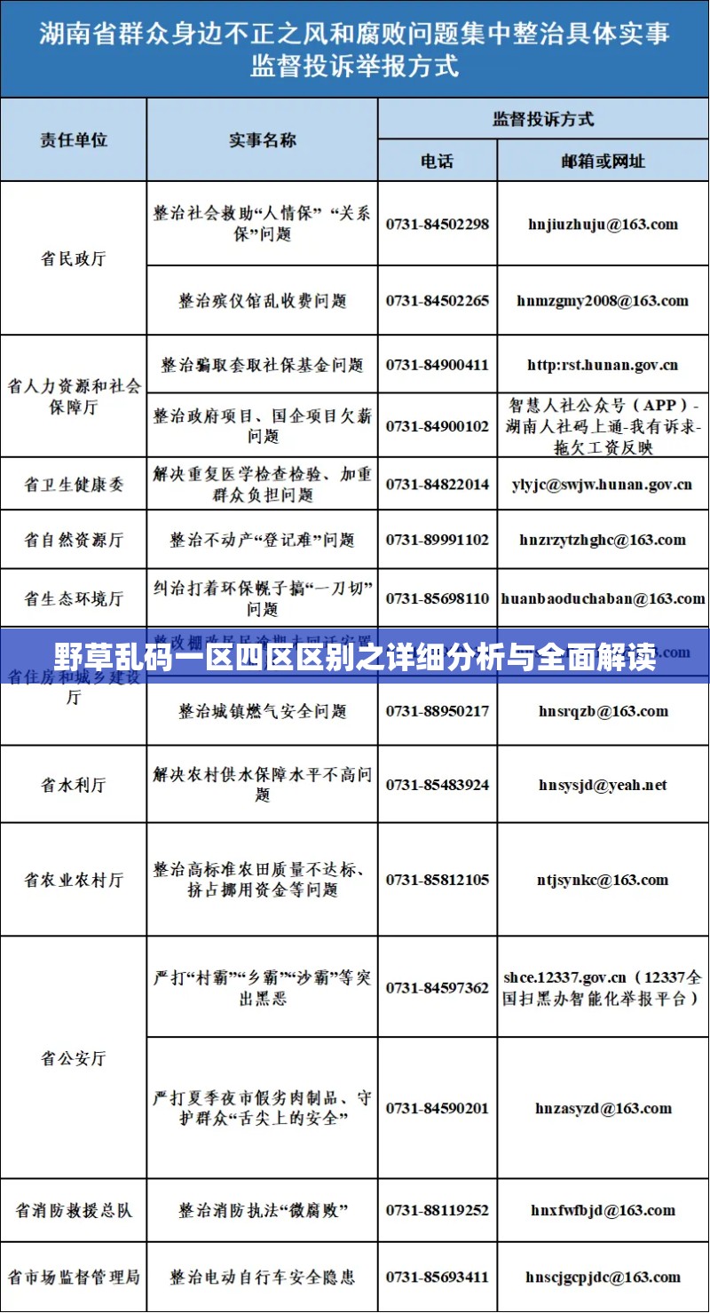 野草亂碼一區(qū)四區(qū)區(qū)別之詳細(xì)分析與全面解讀