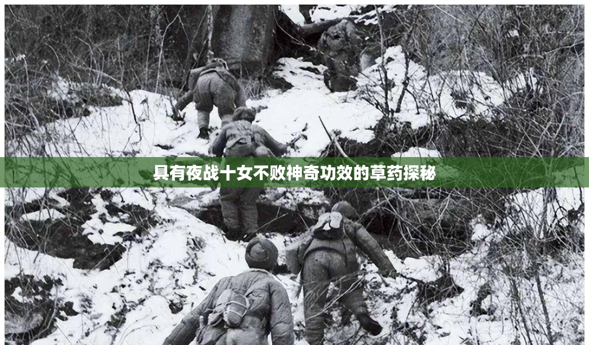 具有夜戰(zhàn)十女不敗神奇功效的草藥探秘