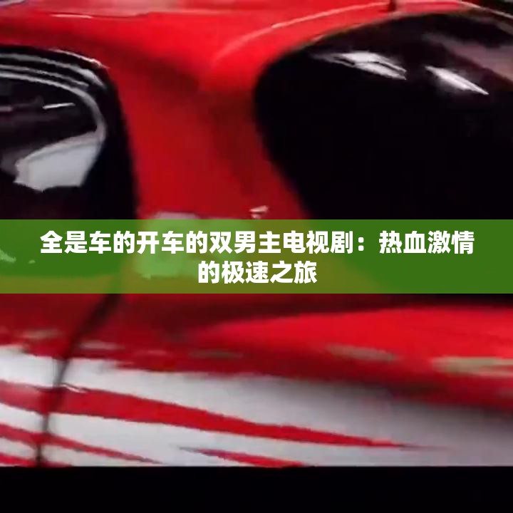全是車(chē)的開(kāi)車(chē)的雙男主電視?。簾嵫で榈臉O速之旅