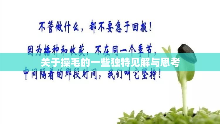 關(guān)于操毛的一些獨(dú)特見解與思考