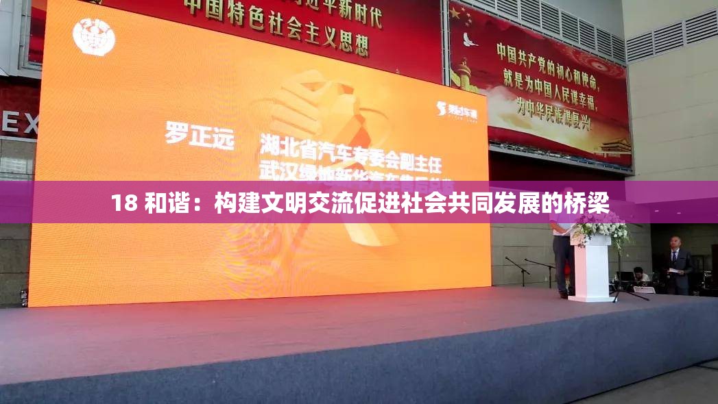 18 和諧：構(gòu)建文明交流促進(jìn)社會(huì)共同發(fā)展的橋梁