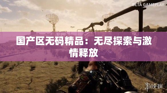 國產(chǎn)區(qū)無碼精品：無盡探索與激情釋放