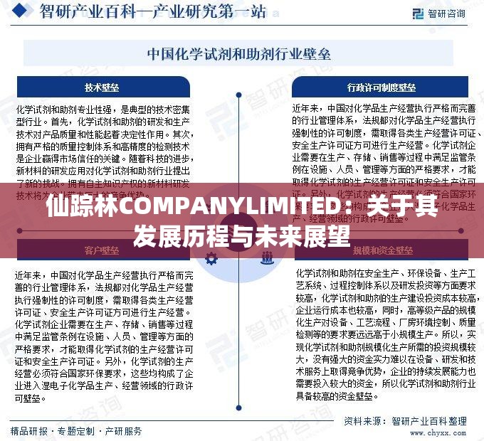 仙蹤林COMPANYLIMITED：關(guān)于其發(fā)展歷程與未來(lái)展望