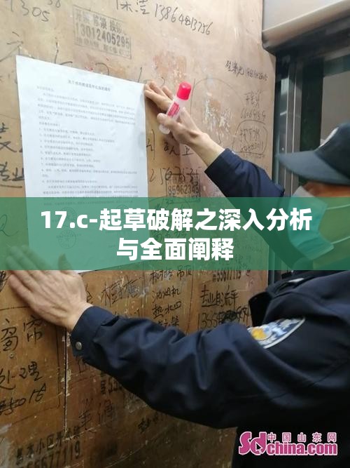 17.c-起草破解之深入分析與全面闡釋
