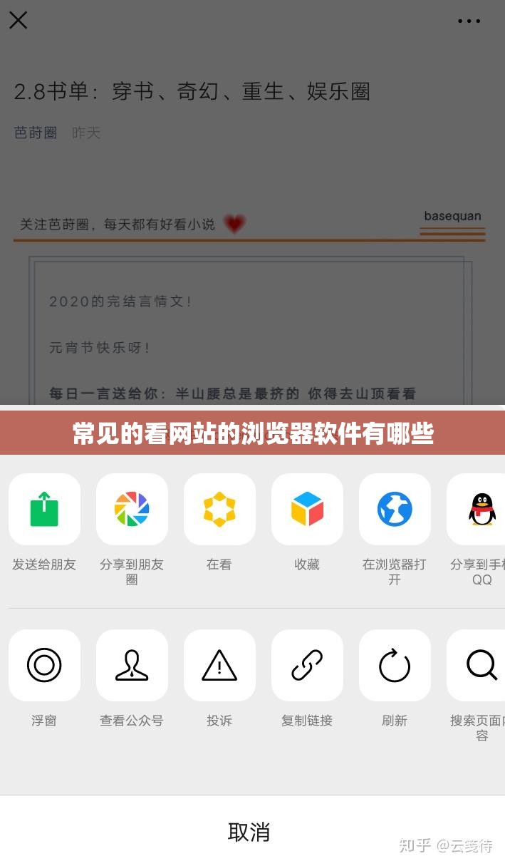 常見的看網(wǎng)站的瀏覽器軟件有哪些