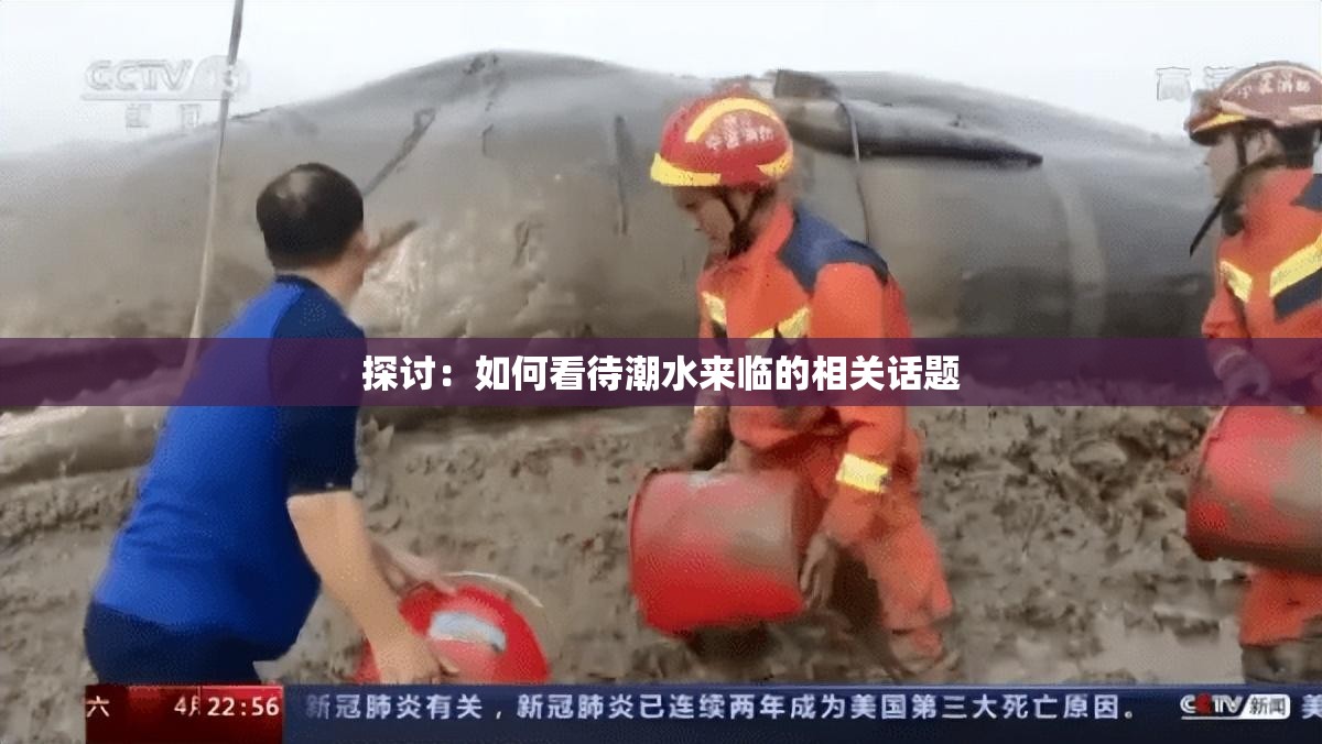 探討：如何看待潮水來臨的相關話題