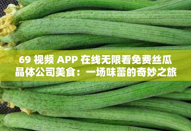 69 視頻 APP 在線無限看免費絲瓜晶體公司美食：一場味蕾的奇妙之旅