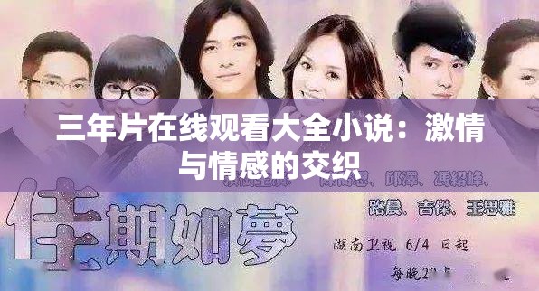 三年片在線觀看大全小說：激情與情感的交織