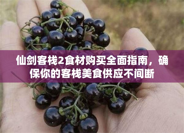 仙劍客棧2食材購(gòu)買全面指南，確保你的客棧美食供應(yīng)不間斷