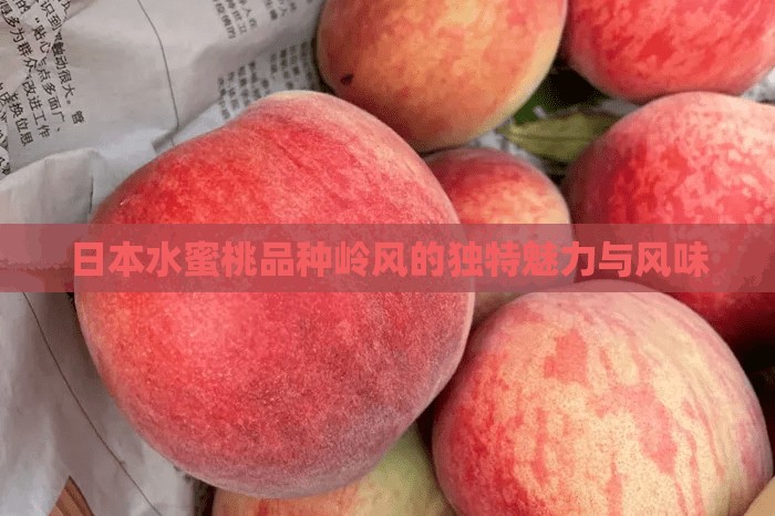 日本水蜜桃品種嶺風(fēng)的獨(dú)特魅力與風(fēng)味