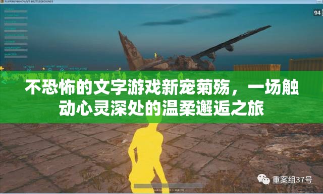 不恐怖的文字游戲新寵菊殤，一場觸動心靈深處的溫柔邂逅之旅