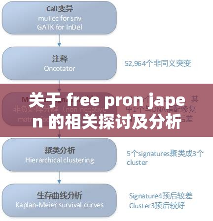 關(guān)于 free pron japen 的相關(guān)探討及分析