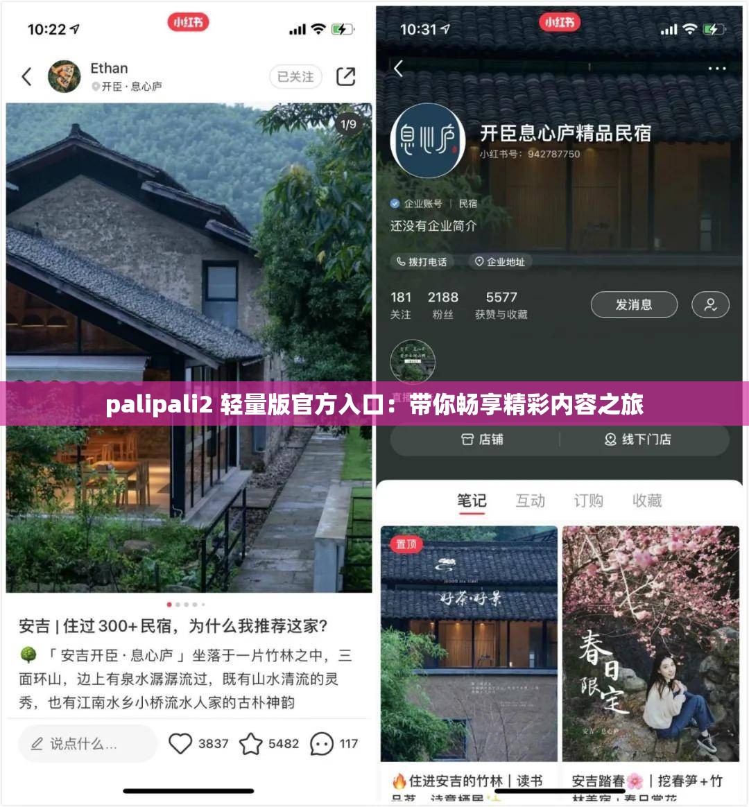 palipali2 輕量版官方入口：帶你暢享精彩內(nèi)容之旅
