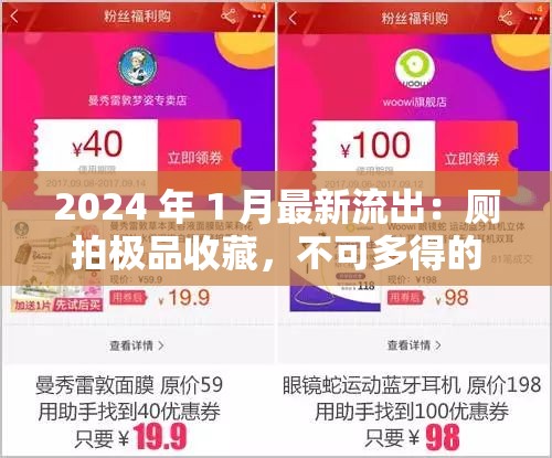 2024 年 1 月最新流出：廁拍極品收藏，不可多得的視覺盛宴