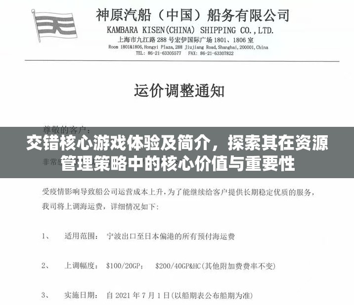 交錯(cuò)核心游戲體驗(yàn)及簡(jiǎn)介，探索其在資源管理策略中的核心價(jià)值與重要性