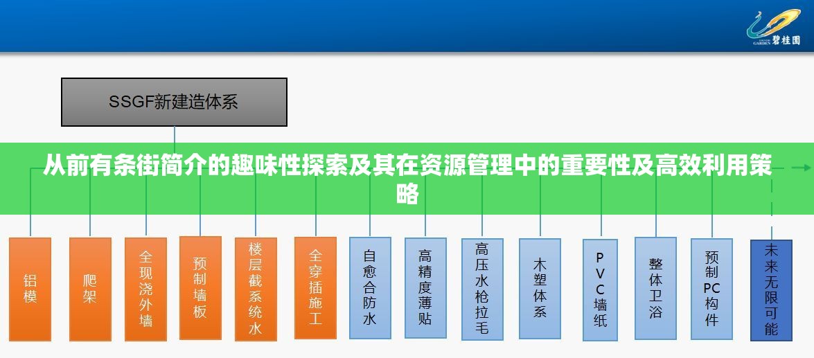 從前有條街簡(jiǎn)介的趣味性探索及其在資源管理中的重要性及高效利用策略