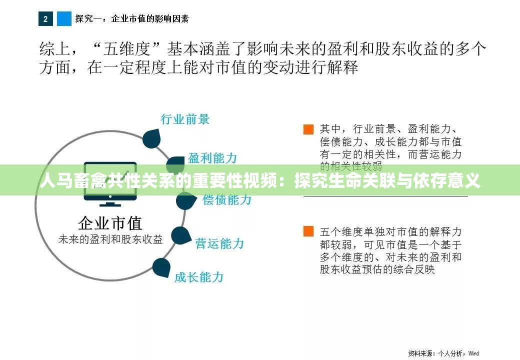 人馬畜禽共性關(guān)系的重要性視頻：探究生命關(guān)聯(lián)與依存意義