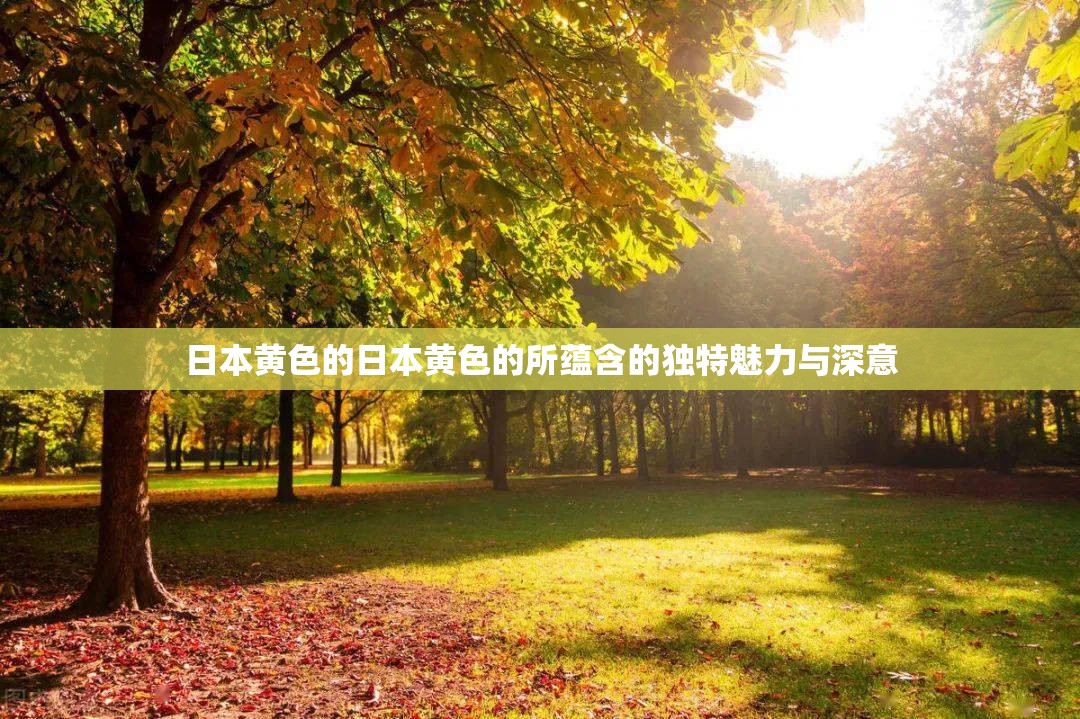 日本黃色的日本黃色的所蘊(yùn)含的獨(dú)特魅力與深意
