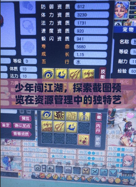 少年闖江湖，探索截圖預(yù)覽在資源管理中的獨特藝術(shù)與運用