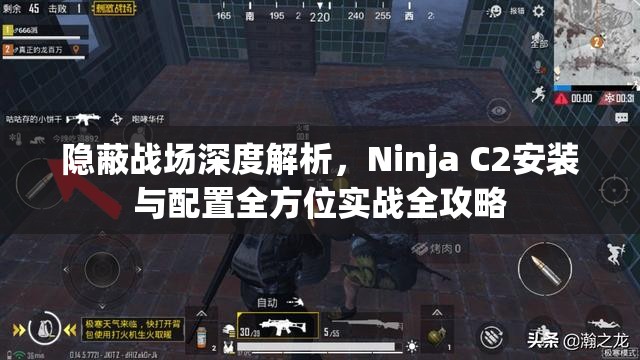 隱蔽戰(zhàn)場深度解析，Ninja C2安裝與配置全方位實戰(zhàn)全攻略