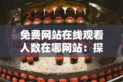 免費(fèi)網(wǎng)站在線觀看人數(shù)在哪網(wǎng)站：探尋其具體位置及相關(guān)信息