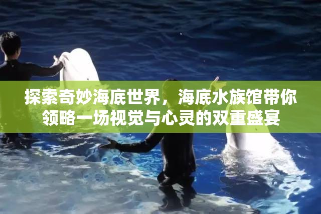 探索奇妙海底世界，海底水族館帶你領略一場視覺與心靈的雙重盛宴