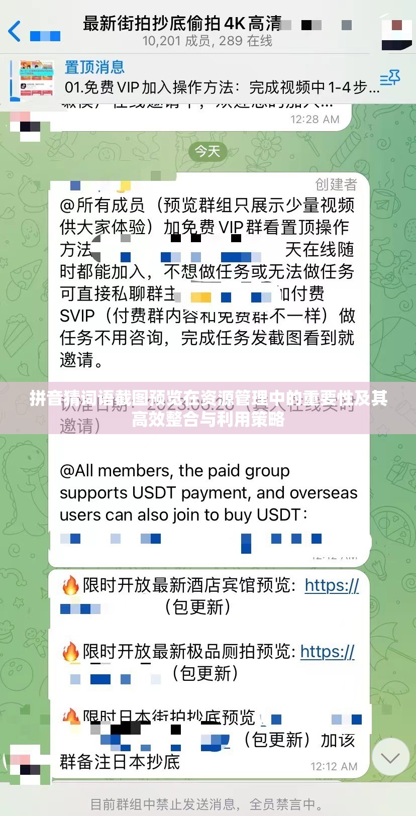 拼音猜詞語截圖預(yù)覽在資源管理中的重要性及其高效整合與利用策略