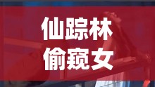 仙蹤林偷窺女人衛(wèi)生間事件引發(fā)的社會(huì)關(guān)注與思考