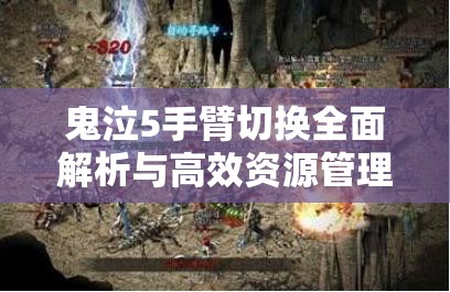 鬼泣5手臂切換全面解析與高效資源管理策略指南