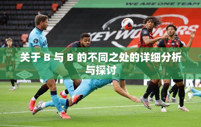 關(guān)于 B 與 B 的不同之處的詳細(xì)分析與探討