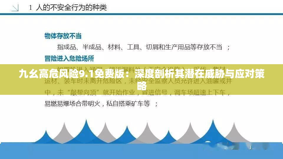 九幺高危風(fēng)險(xiǎn)9.1免費(fèi)版：深度剖析其潛在威脅與應(yīng)對(duì)策略