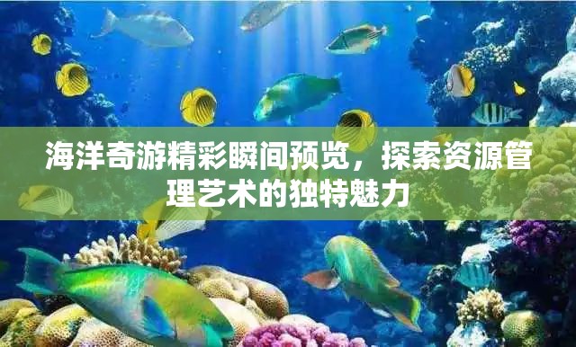 海洋奇游精彩瞬間預(yù)覽，探索資源管理藝術(shù)的獨(dú)特魅力
