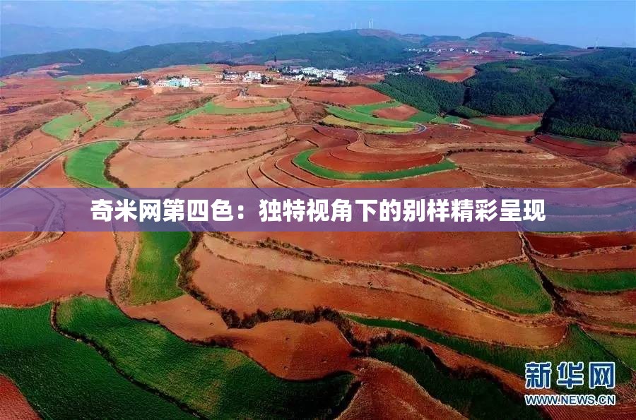 奇米網(wǎng)第四色：獨特視角下的別樣精彩呈現(xiàn)
