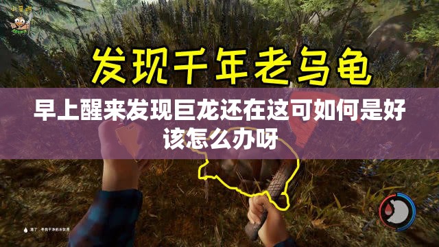 早上醒來發(fā)現(xiàn)巨龍還在這可如何是好該怎么辦呀