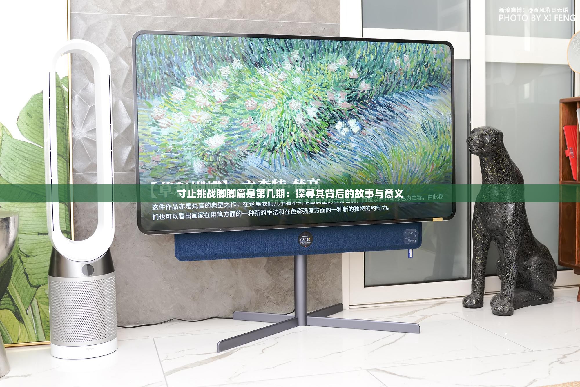 寸止挑戰(zhàn)腳腳篇是第幾期：探尋其背后的故事與意義