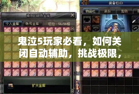 鬼泣5玩家必看，如何關(guān)閉自動輔助，挑戰(zhàn)極限，盡享純粹戰(zhàn)斗快感指南