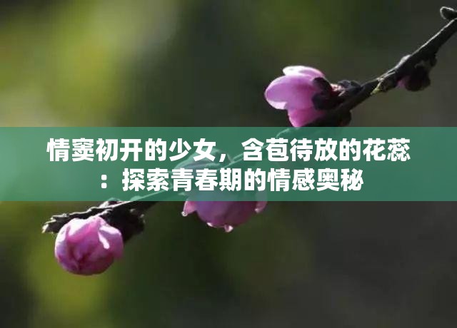 情竇初開的少女，含苞待放的花蕊：探索青春期的情感奧秘