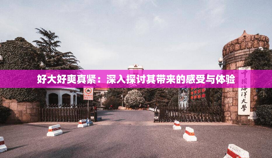 好大好爽真緊：深入探討其帶來的感受與體驗(yàn)