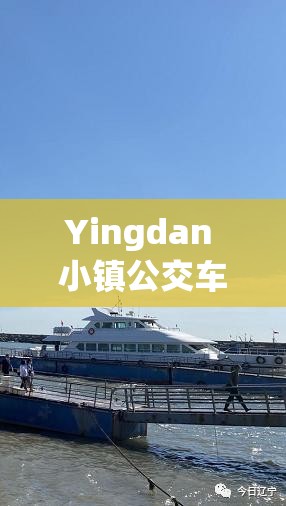 Yingdan 小鎮(zhèn)公交車尺寸有何特別：探究其獨(dú)特之處與背后原因