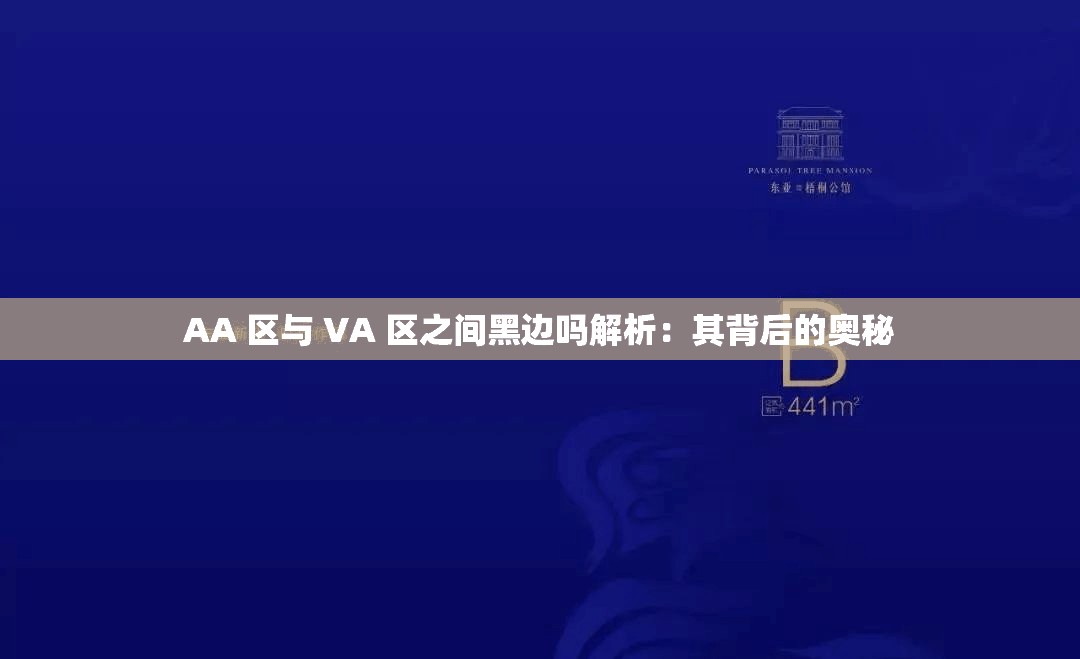 AA 區(qū)與 VA 區(qū)之間黑邊嗎解析：其背后的奧秘