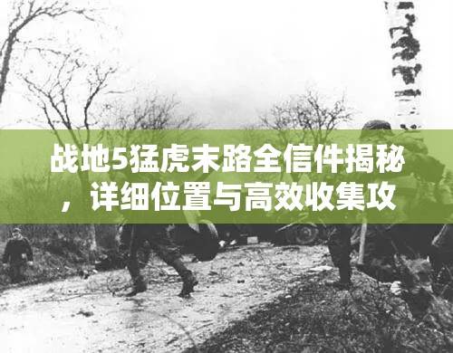 戰(zhàn)地5猛虎末路全信件揭秘，詳細(xì)位置與高效收集攻略指南